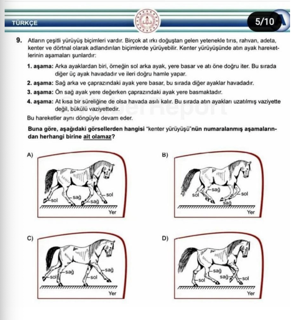 LGS’de Çıkan ”At” Sorusu Tartışmalara Neden Oldu. Çok Mu Kolay? Çok Mu Zor?