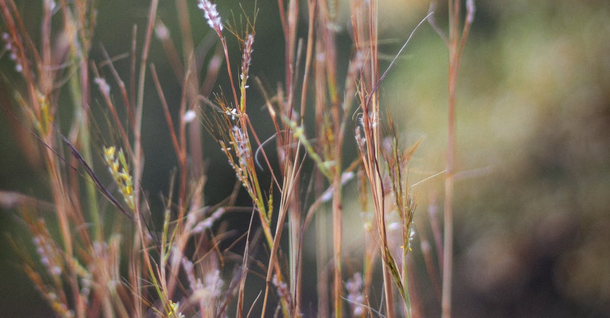 Half-Life 3 Fan Teorileri: Gordon Freeman’ın Macerası Sona mı Eriyor?