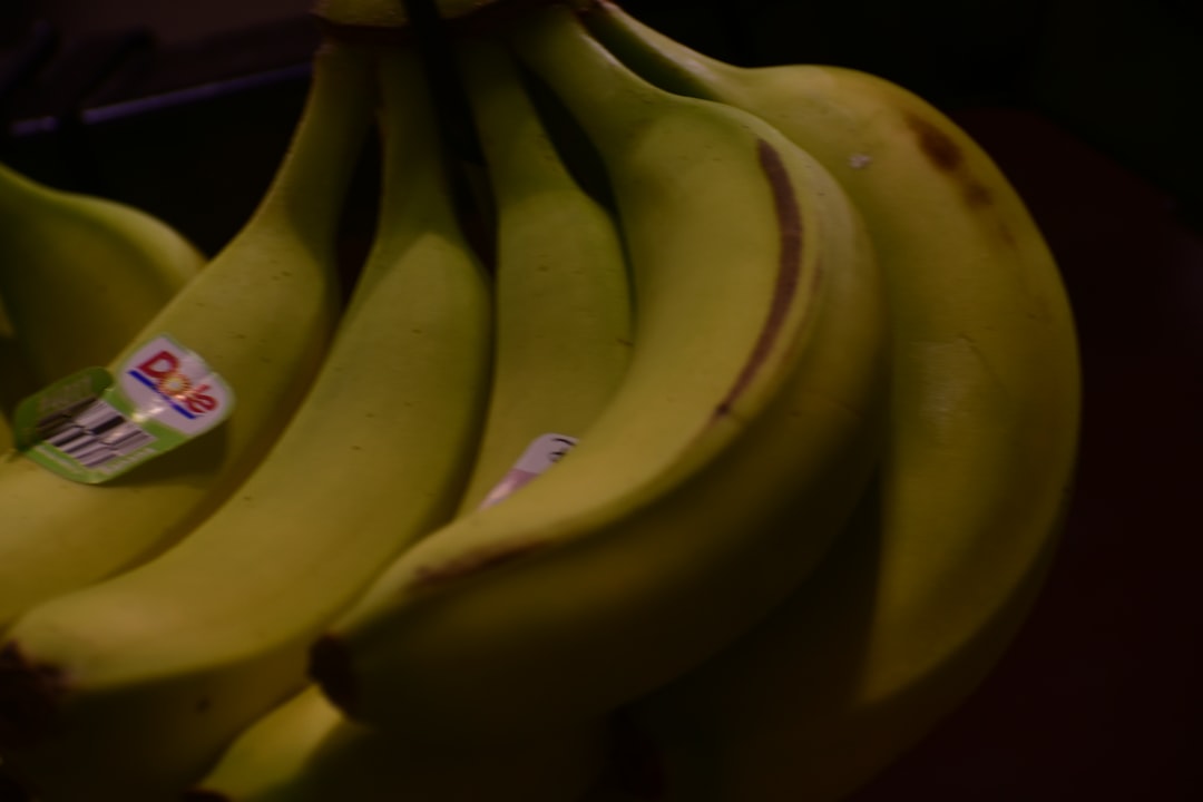 Nano Banana Yapay Zeka Projeleri ile Geleceği Şekillendirmek Mümkün mü?