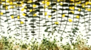 Denizden Gelen Mucize: Crème de La Mer ve Yenilenen Formülü