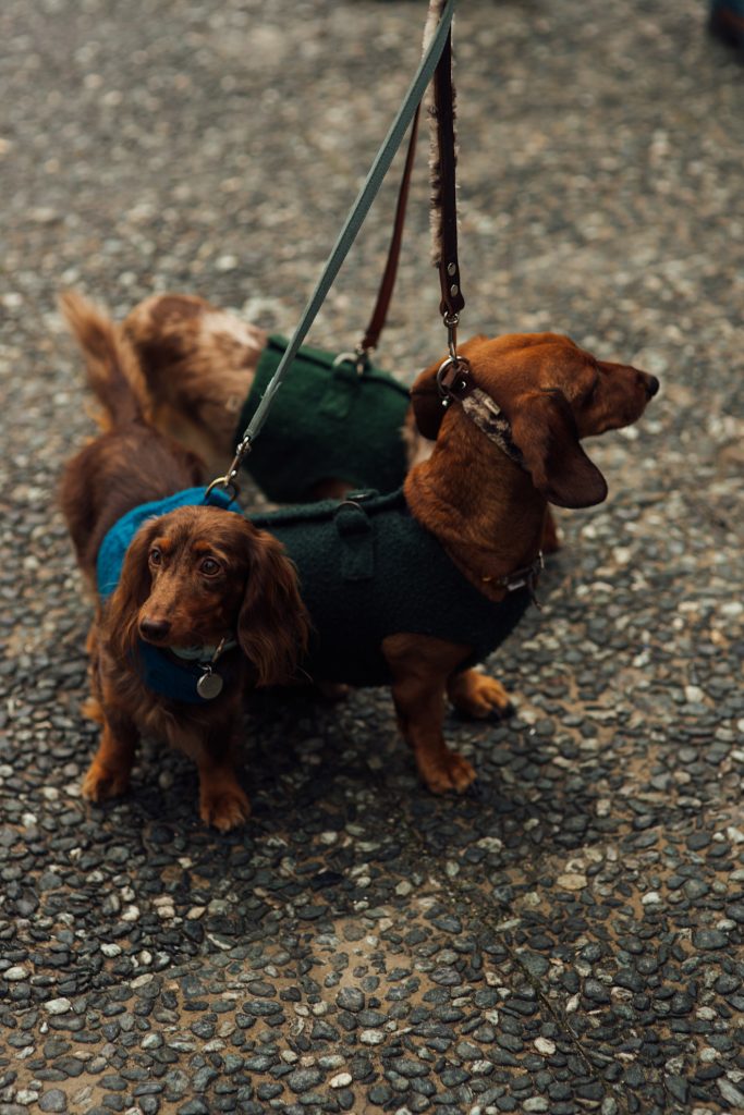 floransa pitti uomo: tarzın zamanla buluştuğu nokta 4 pitti uomo