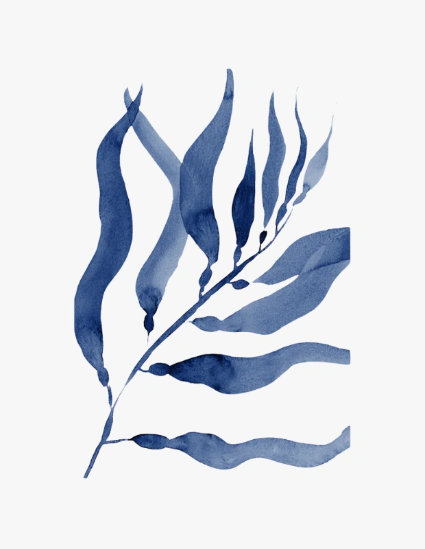 duvarlarınızı sanatla doldurun: çerçeve asma sanatının i̇ncelikleri 47 çerçeve asma sanatı