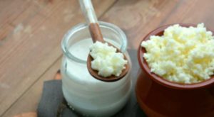 Bağırsak Sağlığını Destekleyen Besinler