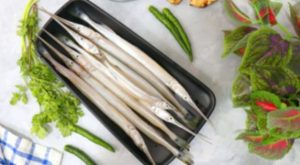 Zargana Balığı: Denizlerin İncisi ve Lezzeti