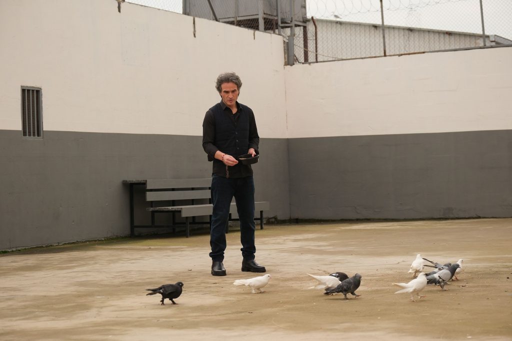 eralp karakteriyle kerem can: rüya gibi'nin yeni dönemi başlıyor 3 rüya gibi