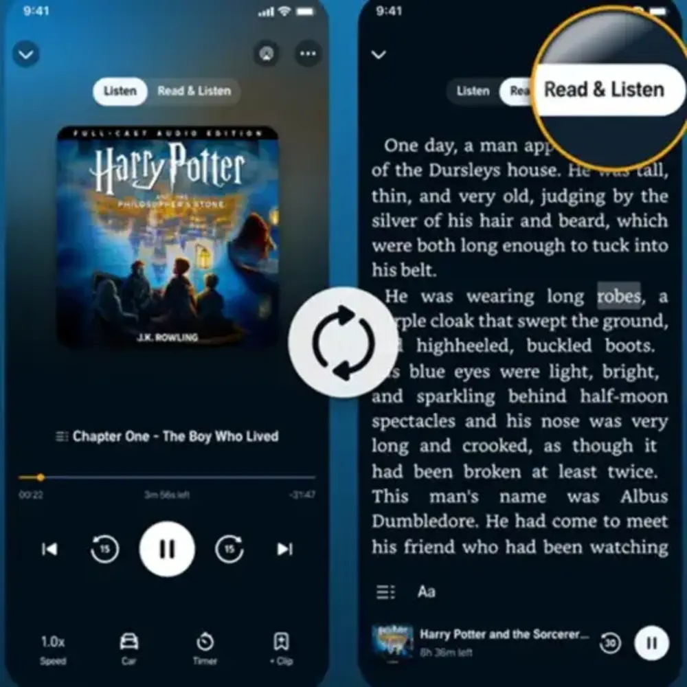 e-kitap ve sesli kitap deneyimi: yeni bir dönem başlıyor 1 e-kitap sesli kitap