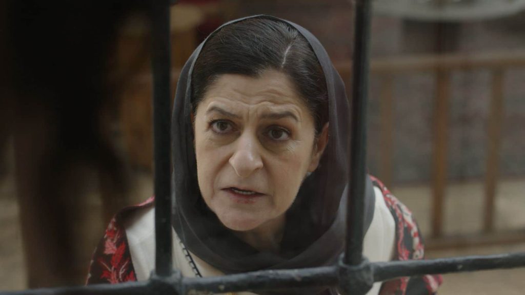 halef köklerin çağrısı