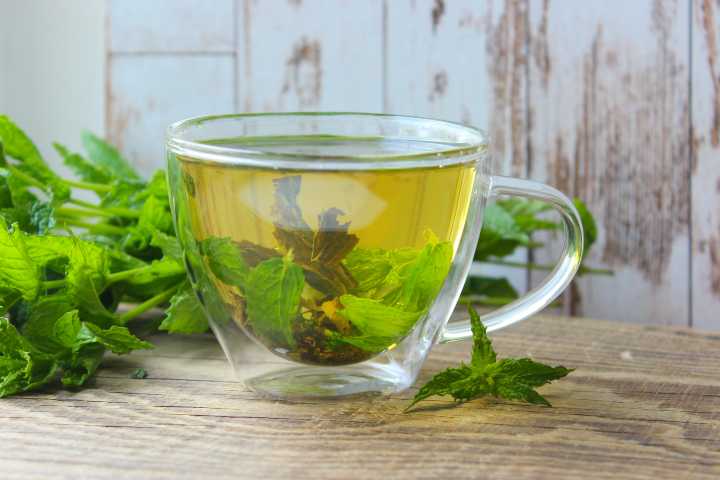 huzurlu uykunun sırrı: bitki çayları 19 uyku yapan bitki çayları