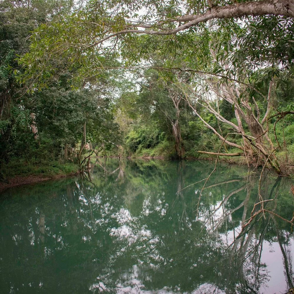 pandeminin gizli yüzü: metan emisyonları ve temiz hava paradoksu 1 metan emisyonları