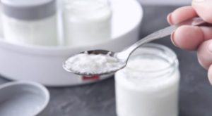 Probiyotik ve Prebiyotik: Sindirim Sağlığınız İçin İkili Destek