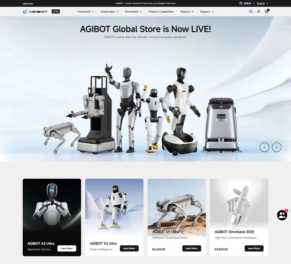 geleceğin asistanları: i̇nsansı robot kiralama deneyimi 2 insansı robot