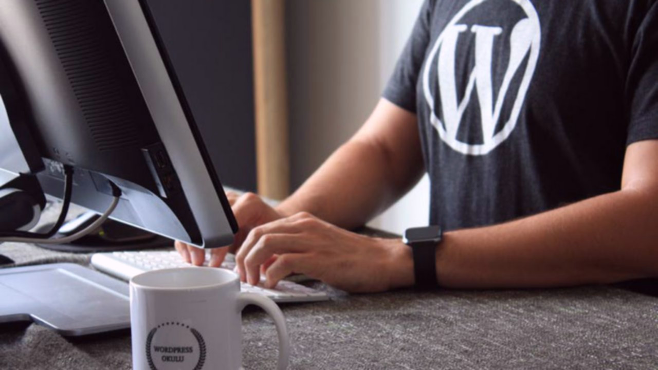 WordPress eklenti güvenliği