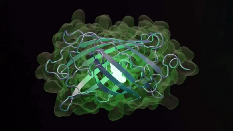 Yapay Zeka ile Biyolojide Yeni Bir Dönem: GPT-Rosalind