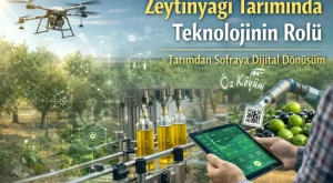 Zeytin ve Zeytinyağında Dijital Dönüşüm: Gelenekten Geleceğe