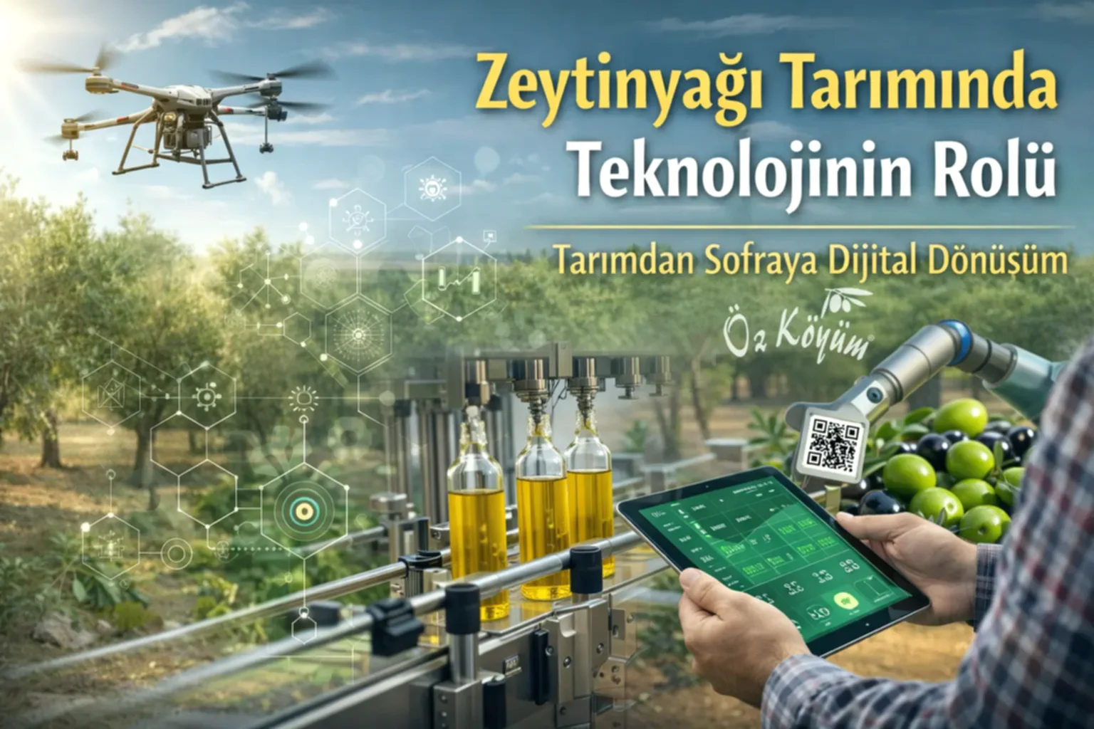 zeytinyağı teknolojisi