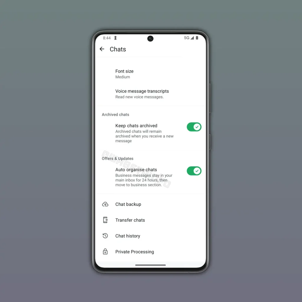 whatsapp işletme mesajları