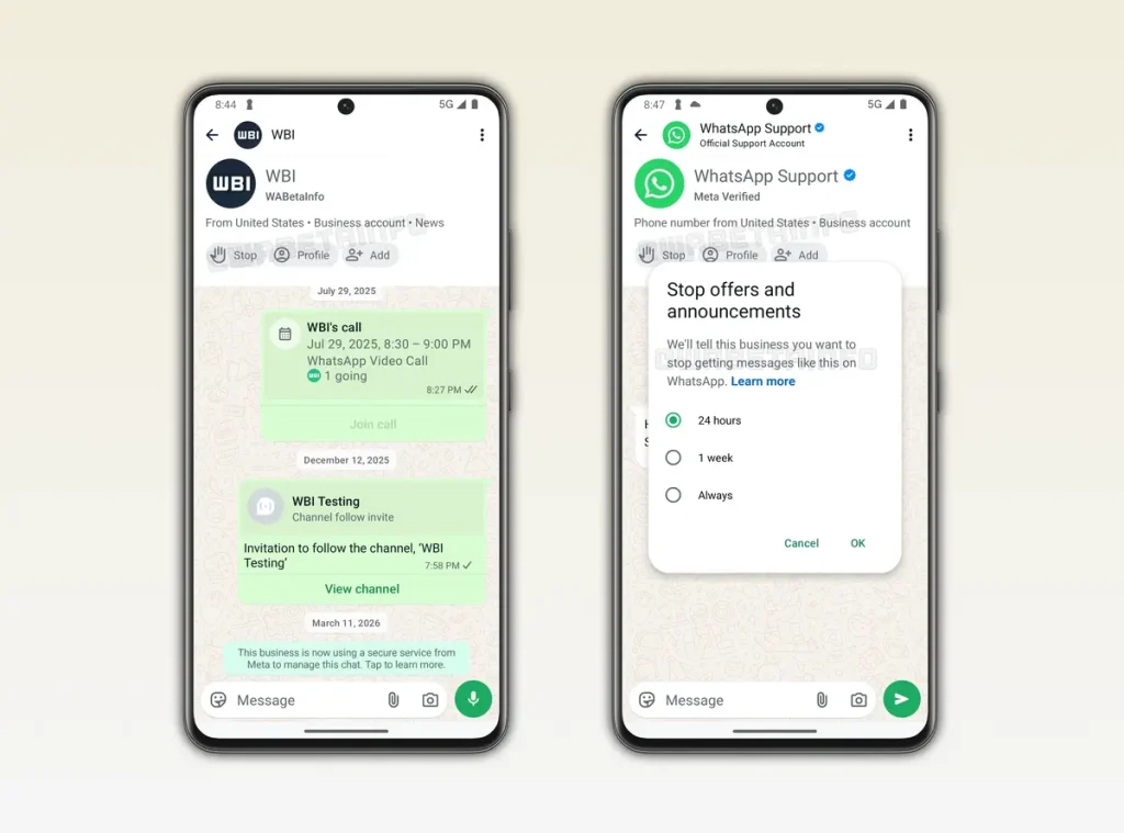 whatsapp mesaj yönetimi
