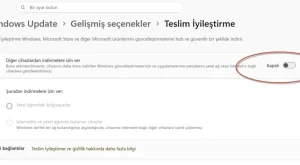 Dijital Hayatınızda İnternetin Gizli Yüzü: Teslim İyileştirme