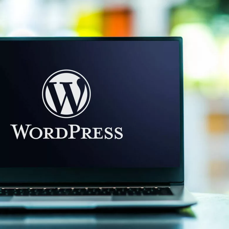 wordpress eklenti güvenliği