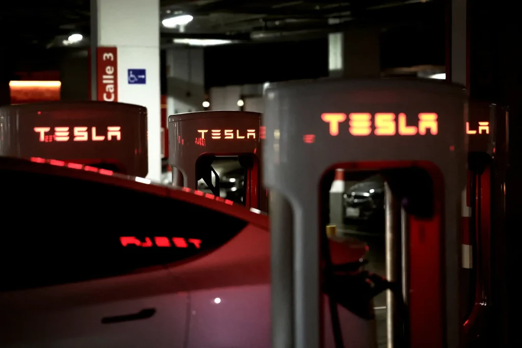 tesla fsd avrupa